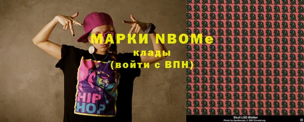 мдпв Богородицк