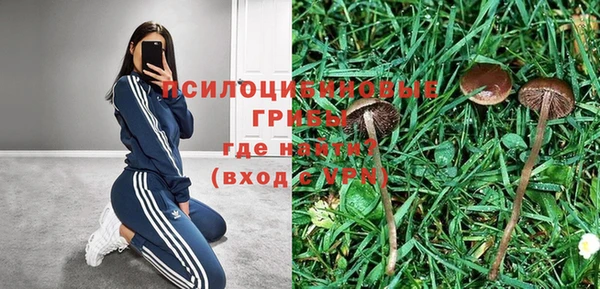 первитин Покачи