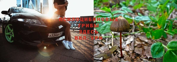 мдпв Богородицк