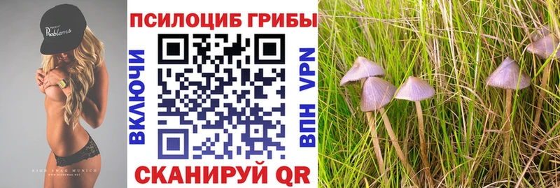 mega онион  Партизанск  Псилоцибиновые грибы MAGIC MUSHROOMS 